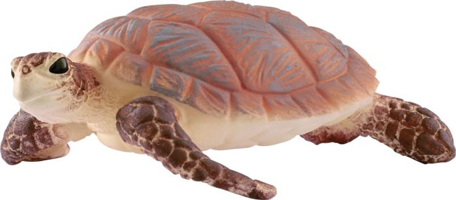 Schleich Echte Karettschildkr&ouml;te - Bild 1