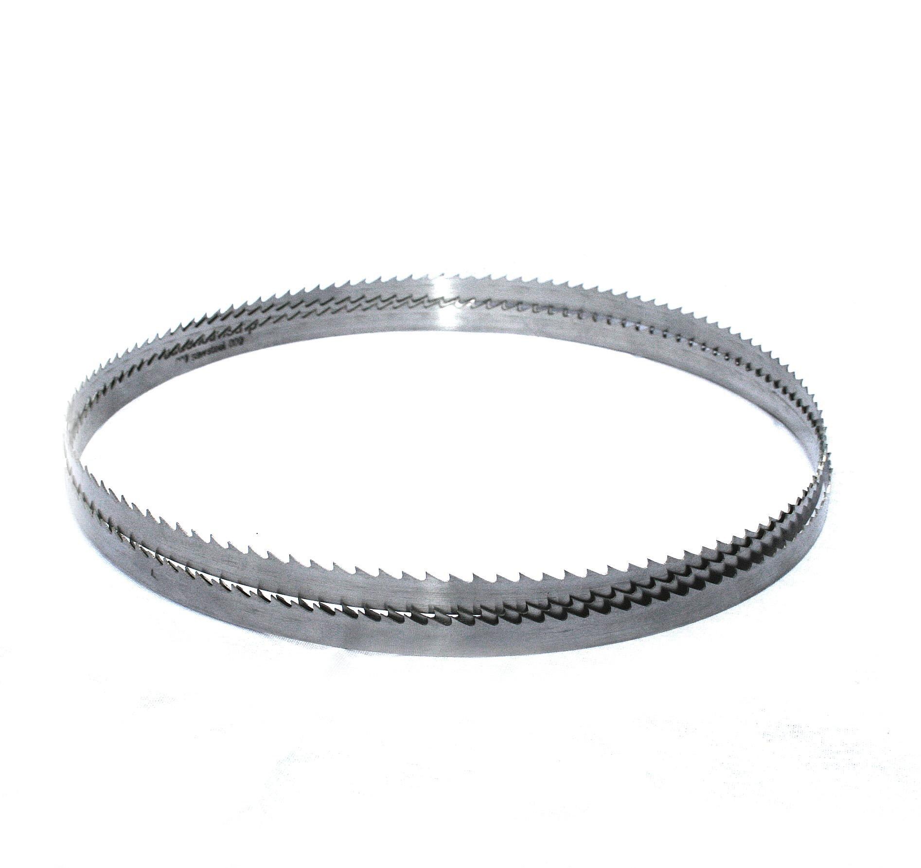 BAMATO S&auml;geband 2560 mm f&uuml;r Bands&auml;gen (Holz) - mm - Bild 1