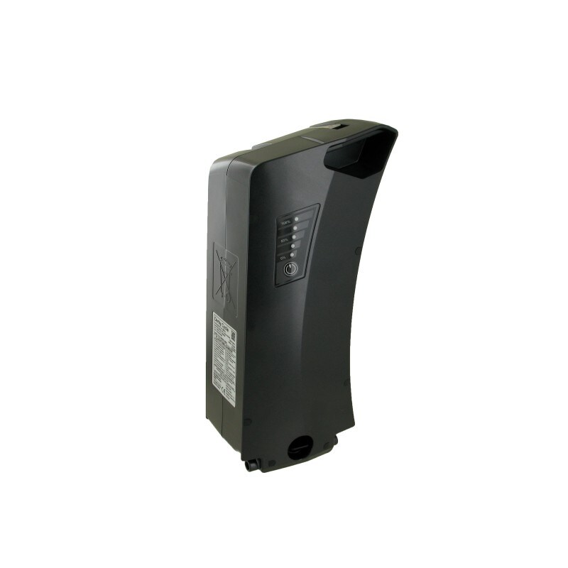 f&uuml;r RALEIGH STATE OF E-ART, LION E-Bike Akku 36V 17Ah ( 603Wh ) - Bild 1