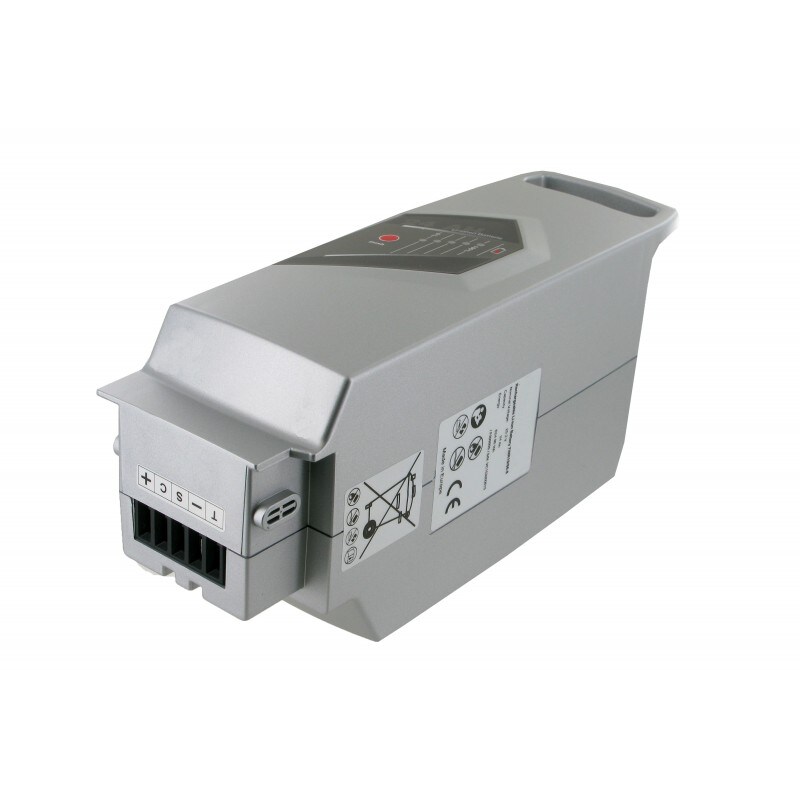 f&uuml;r RALEIGH Dover 40, LION E-Bike Akku 25V 24Ah - Bild 1