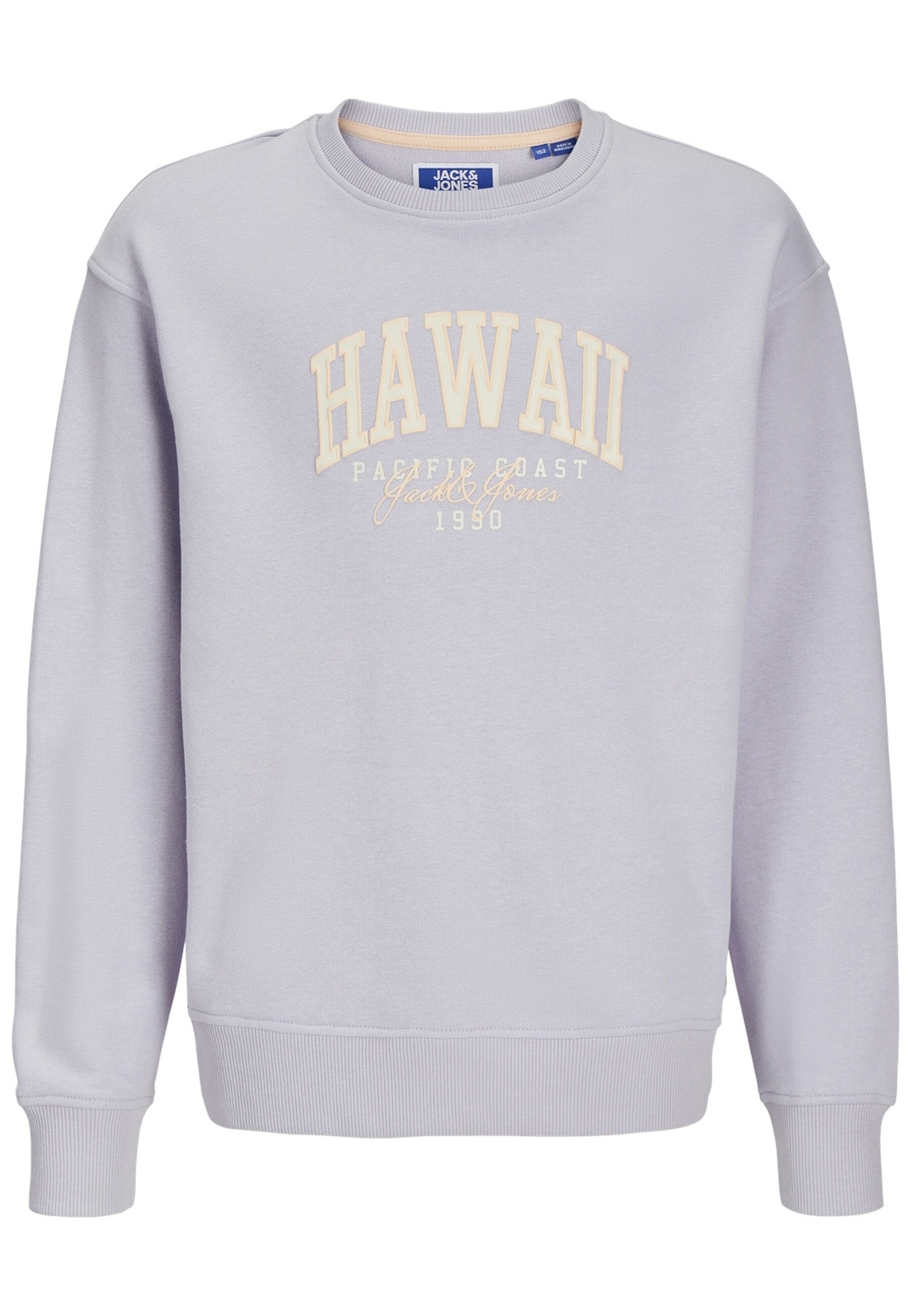 Jack & Jones Junior Pullover DETROIT Sweatshirt - Bild 1