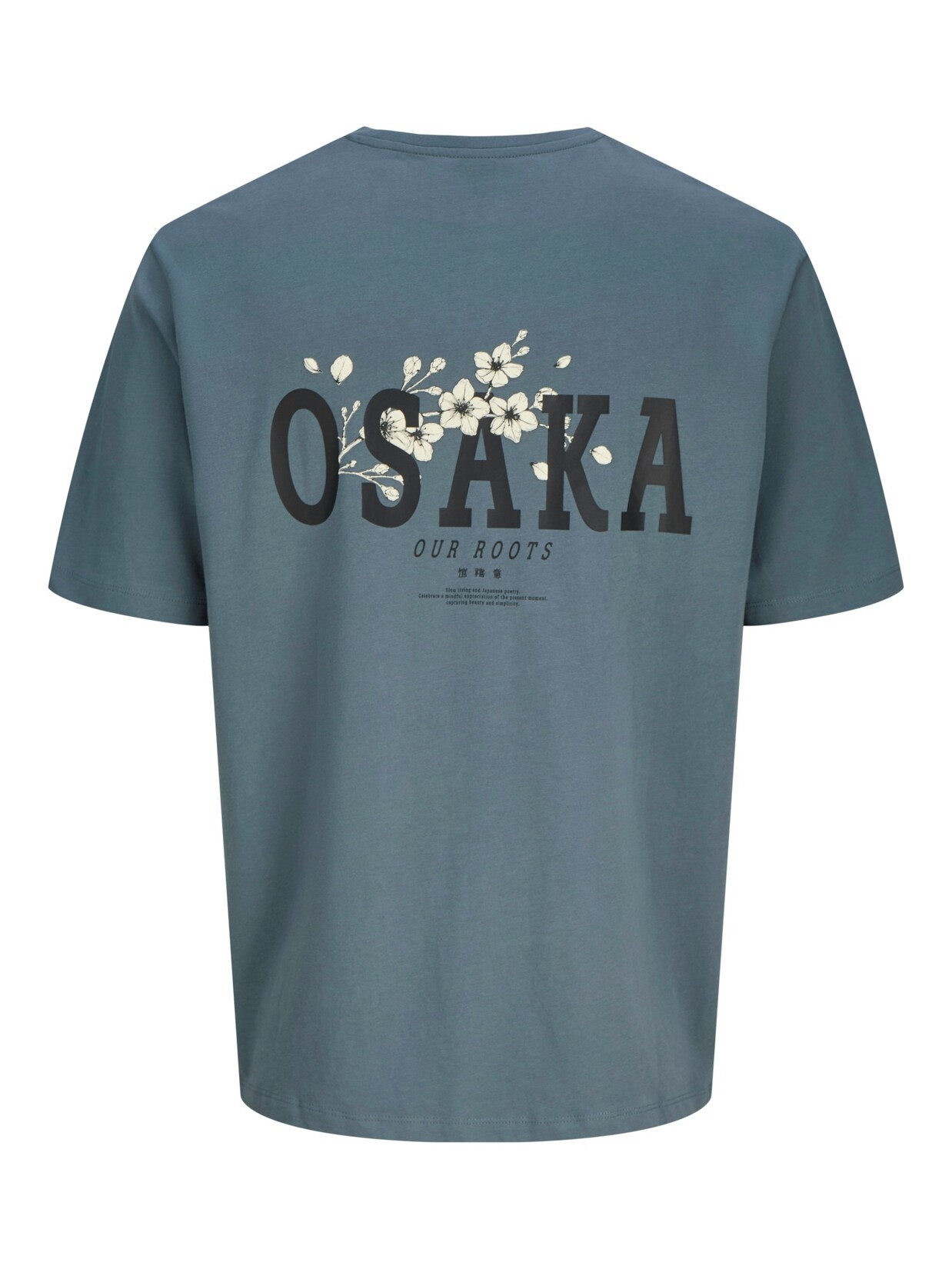 Jack & Jones T-Shirt KENJI Kurzarmshirt | 05715726980745