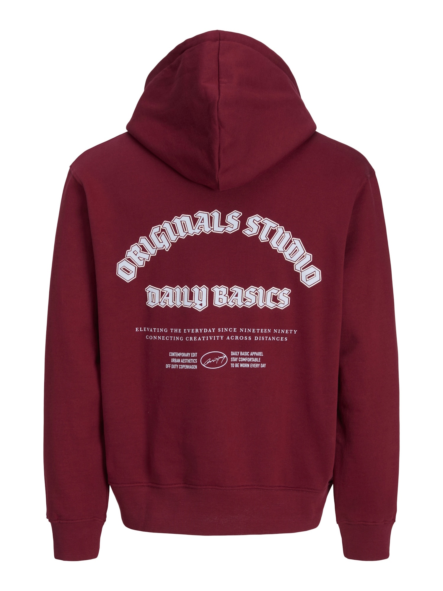 Jack & Jones Junior Kapuzenpullover MEADOWS Hoodie - Bild 1