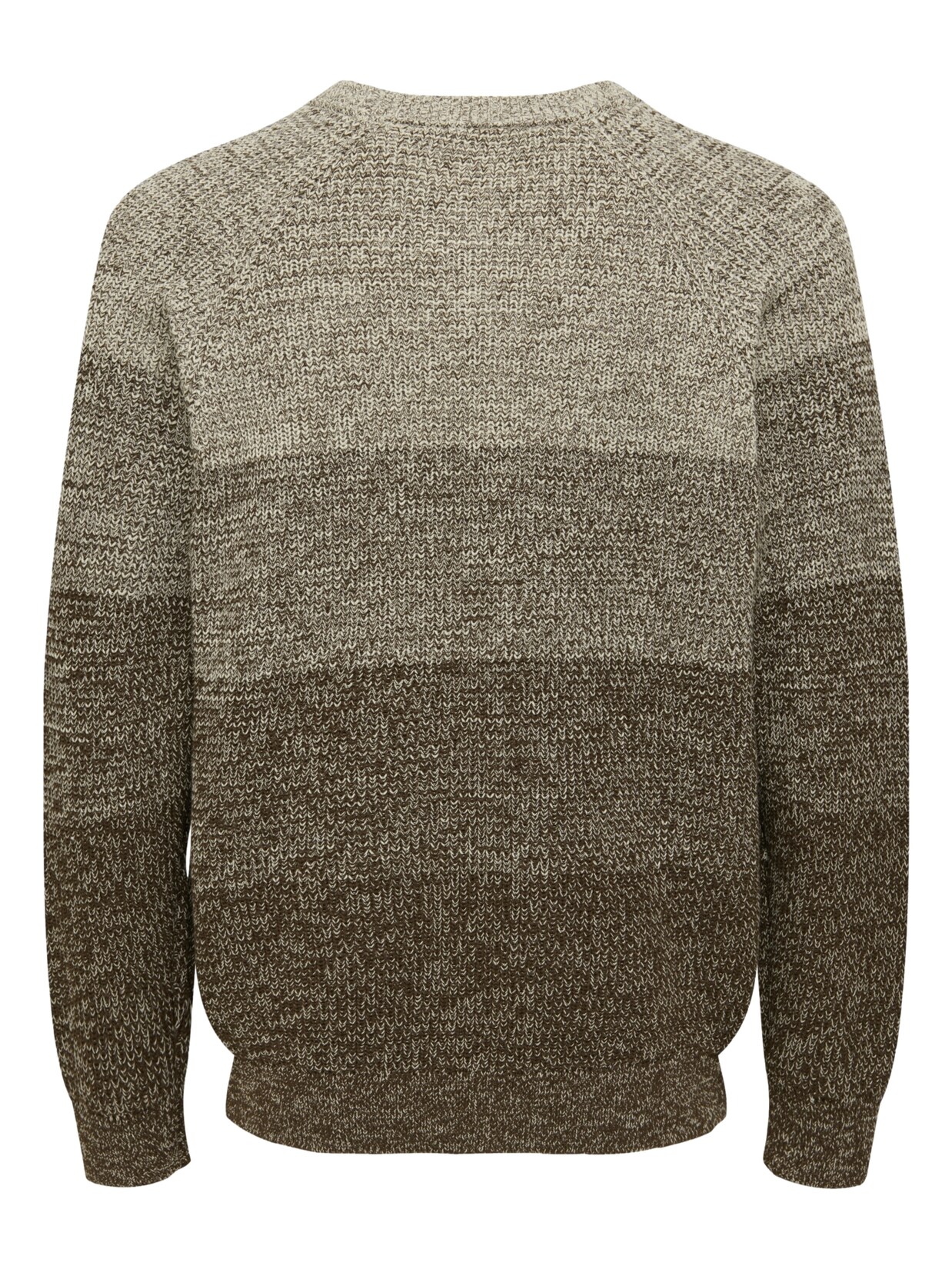 Only & Sons Pullover BIRK Strickpullover R-Neck | 05715828453956