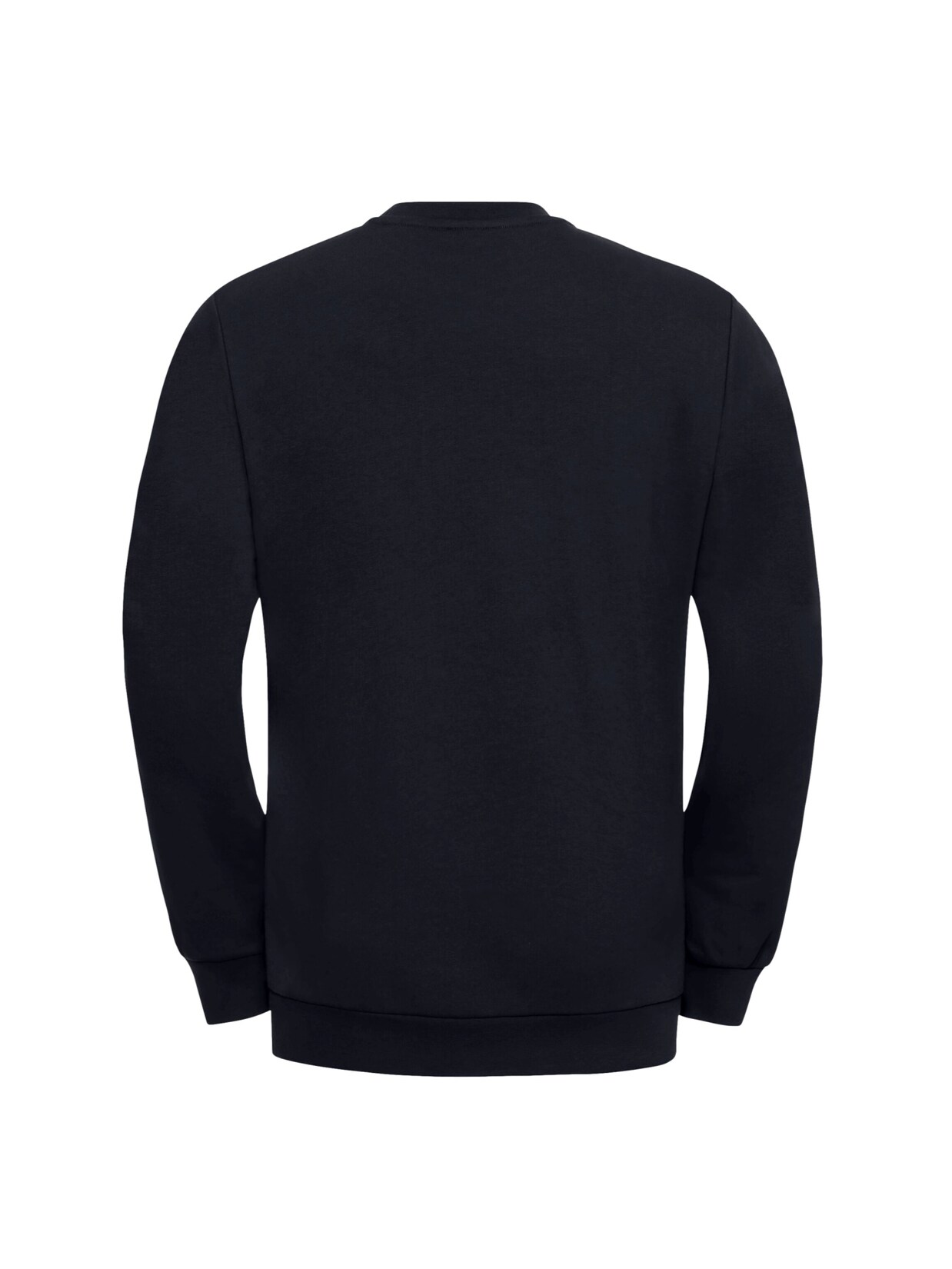 Jack Wolfskin Pullover ESSENTIAL Sweatshirt | 04064886463836