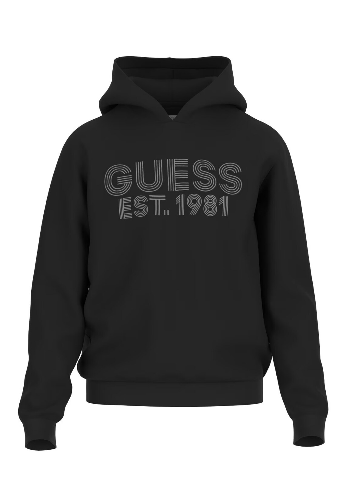 Guess Kapuzensweatshirt Hoodie BEAU | 07618391353853