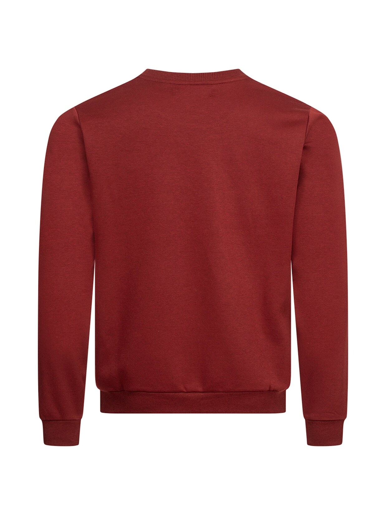 Pierre Cardin Sweatshirt Pullover | 08054216961084