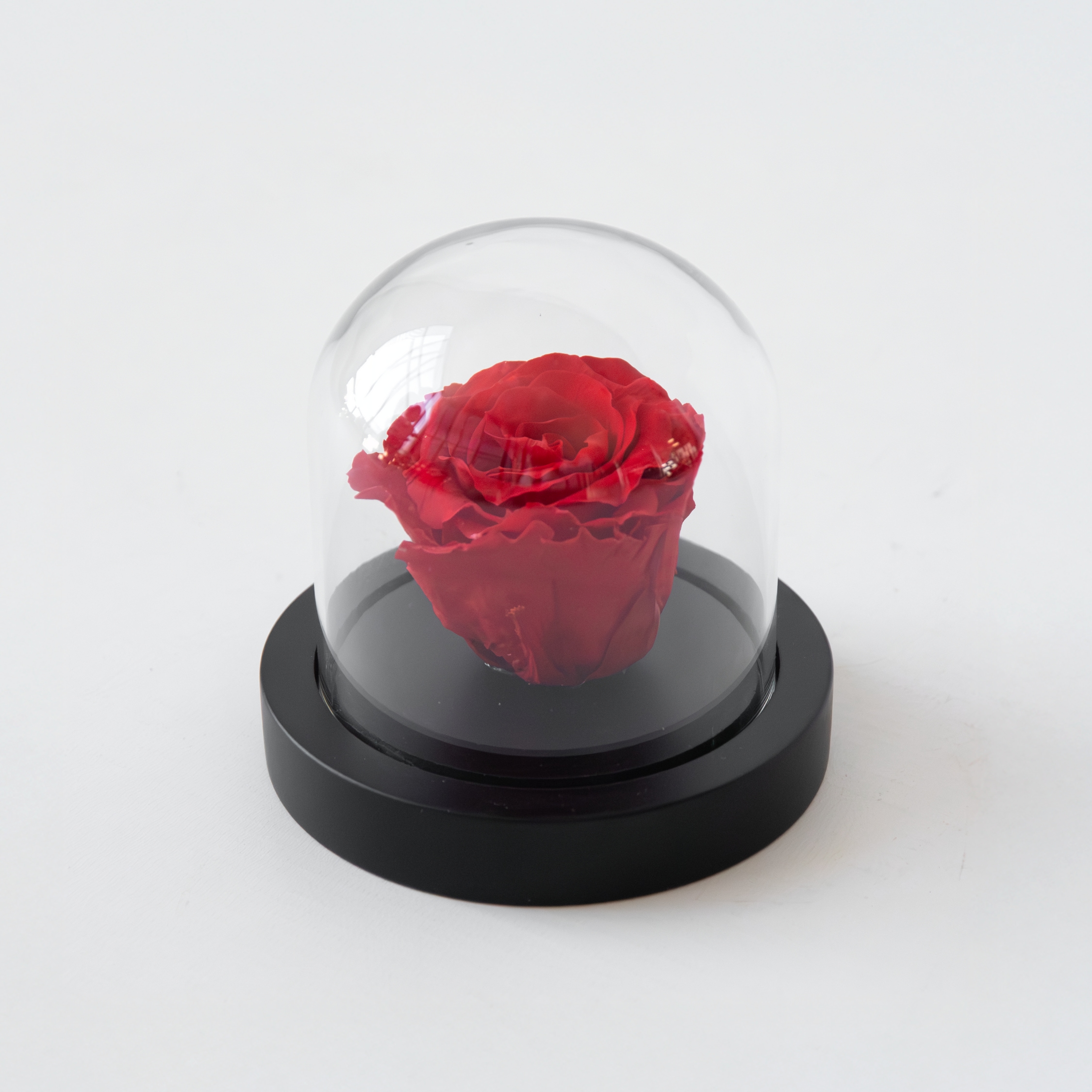 Plant in a Box - Konservierte rote Rose unter Glaskuppel - Echte Rose - Luxuri&ouml;ses Geschenk - Bild 1