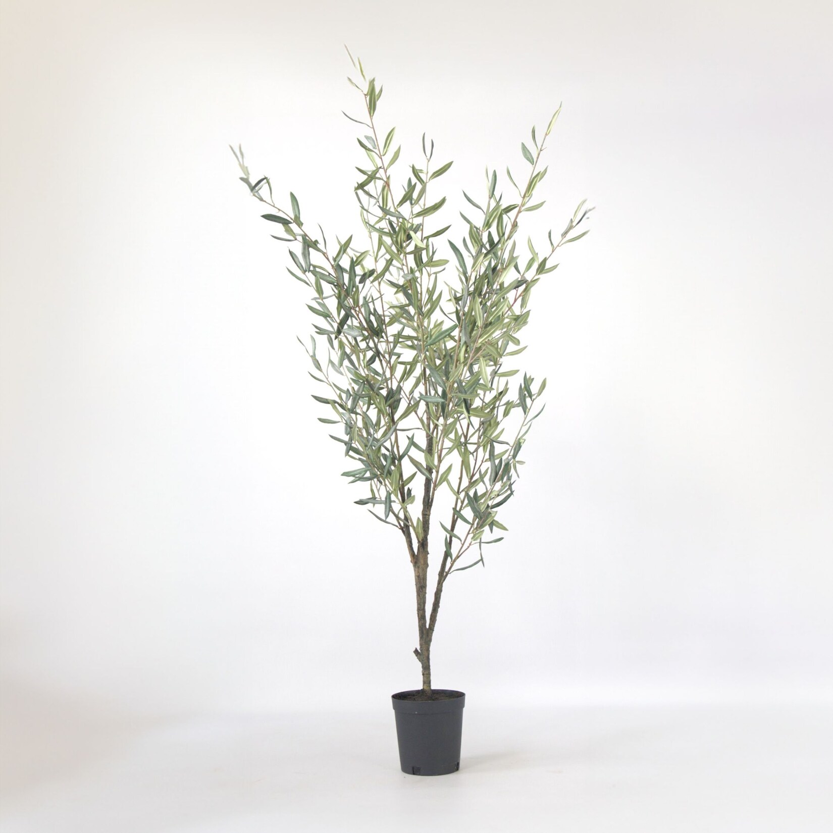 Plant in a Box – Künstlicher Olivenbaum – Höhe 150cm | 08721278902415