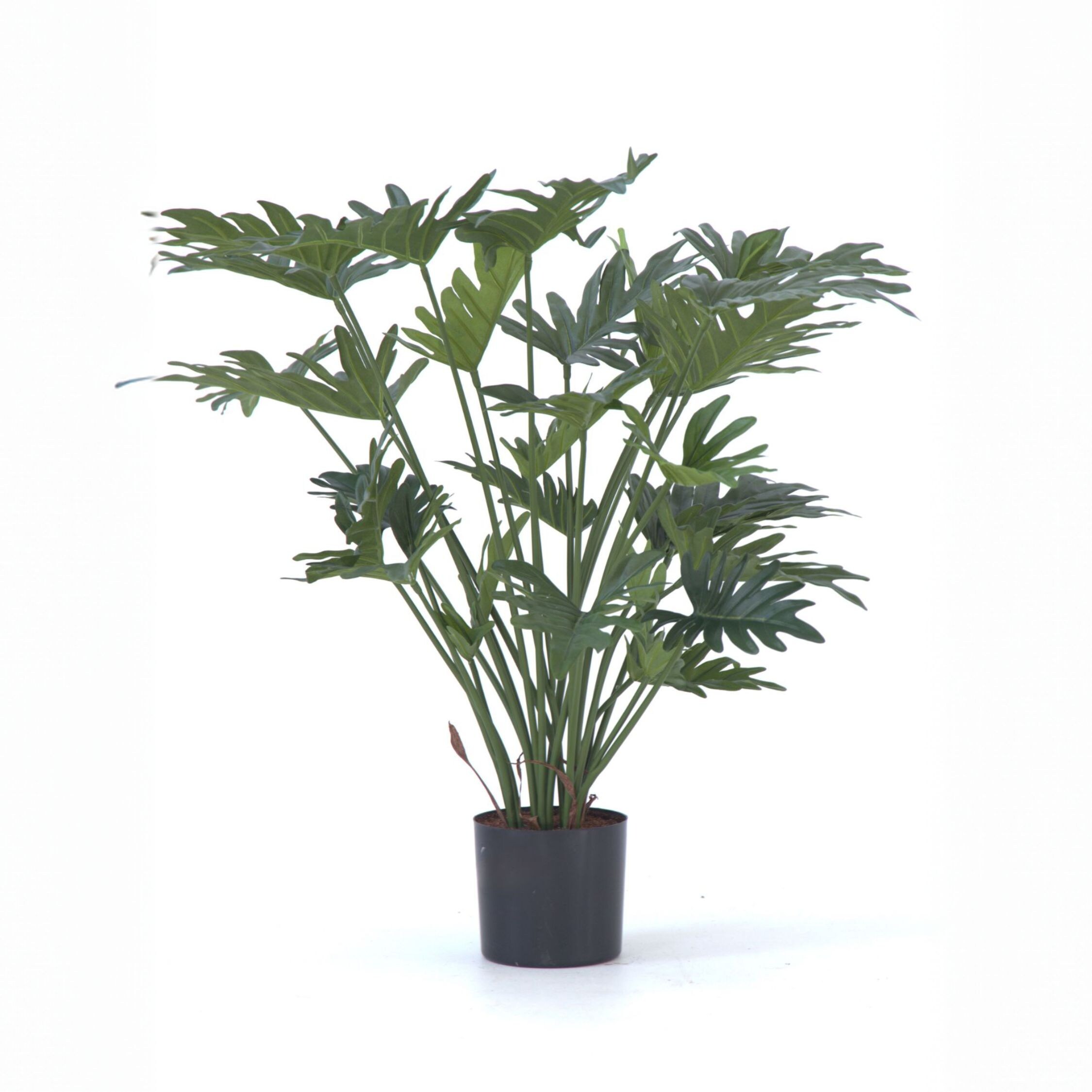 Plant in a Box - K&uuml;nstlicher Philodendron &bdquo;Selloum&ldquo; &ndash; H&ouml;he 65cm - Bild 1