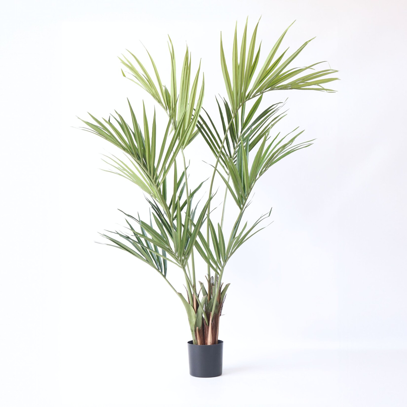 Plant in a Box – Künstliche Kentia – Höhe 150cm | 08721278902378