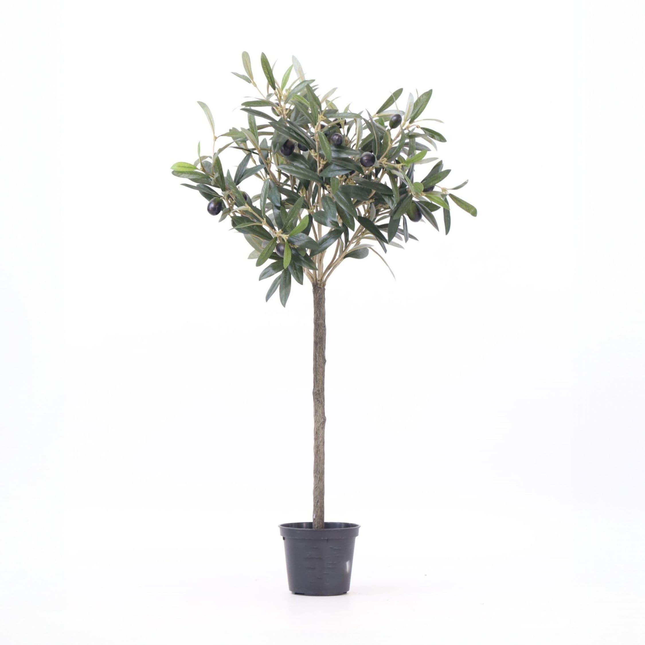 Plant in a Box - K&uuml;nstlicher Olivenbaum &ndash; H&ouml;he 65cm - Bild 1
