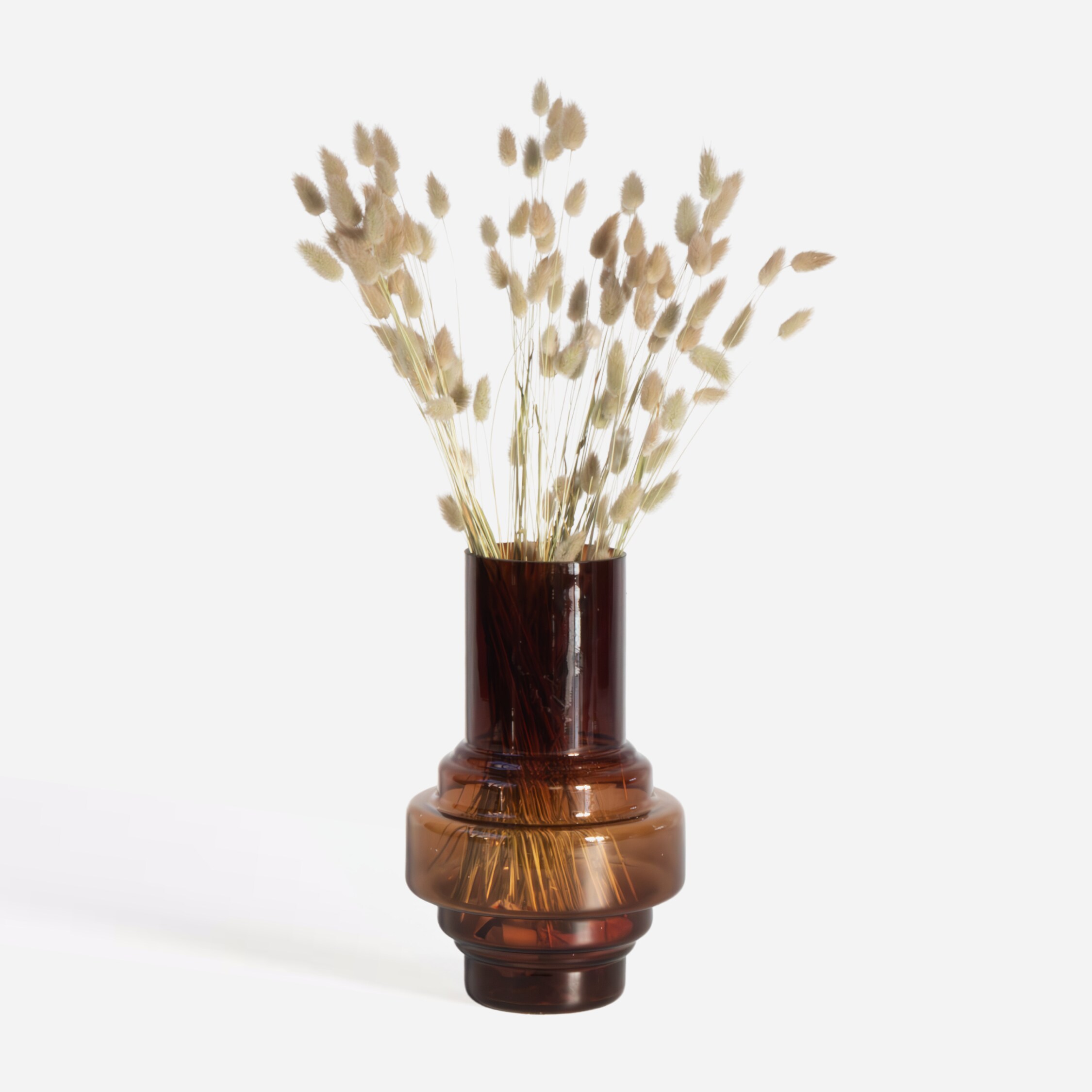 Plant in a Box - Getrocknete Blumen - Strau&szlig; 'Lagurus Bunny Ears' - Bild 1