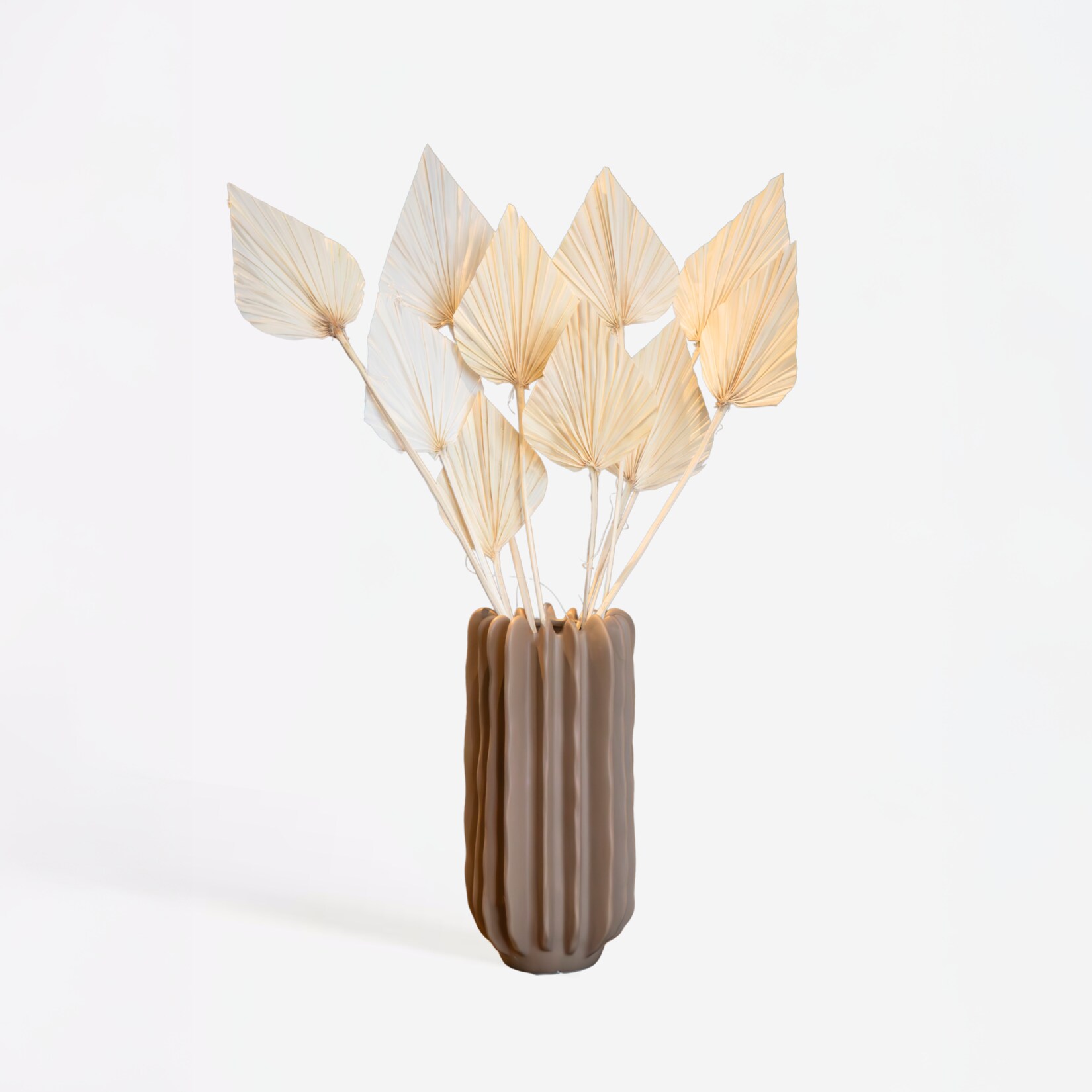 Plant in a Box – Getrocknete Blumen – 10 Stk. – Strauß ‚Palmspear Bleached White‘ | 08721278906376