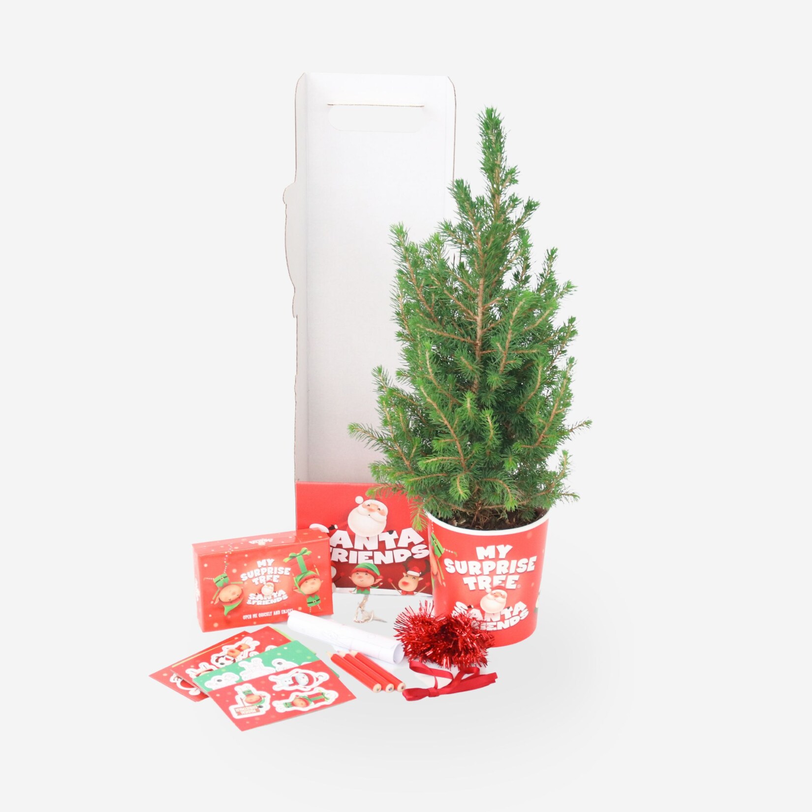 Plant in a Box – Zuckerhutfichte – Picea Conica – Mini-Weihnachtsbaum und Deko | 08721278903085