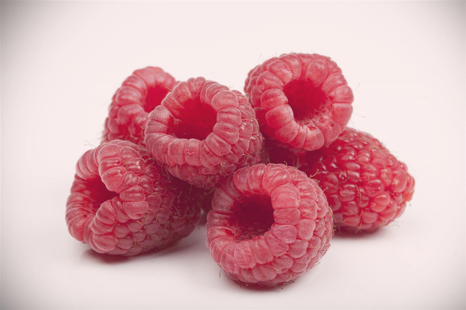 Rubus idaeus 'Boheme', Himbeere, 30&ndash;40 cm - Bild 1