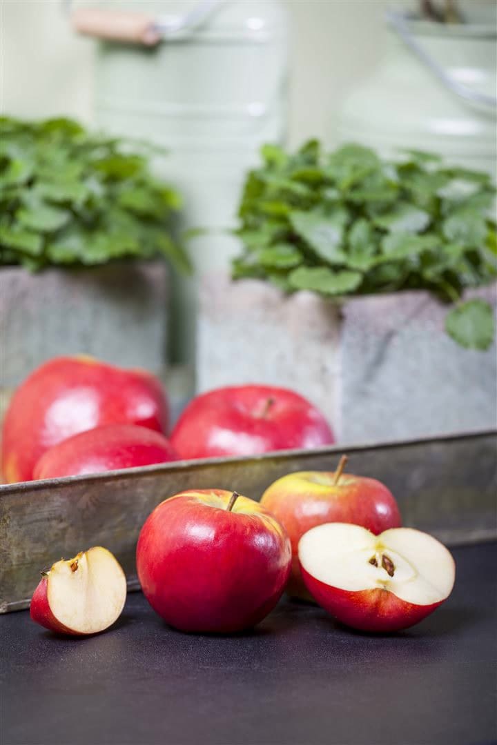 Malus 'Topaz' -S-, Apfelbaum, 40 cm Stammh&ouml;he - Bild 1