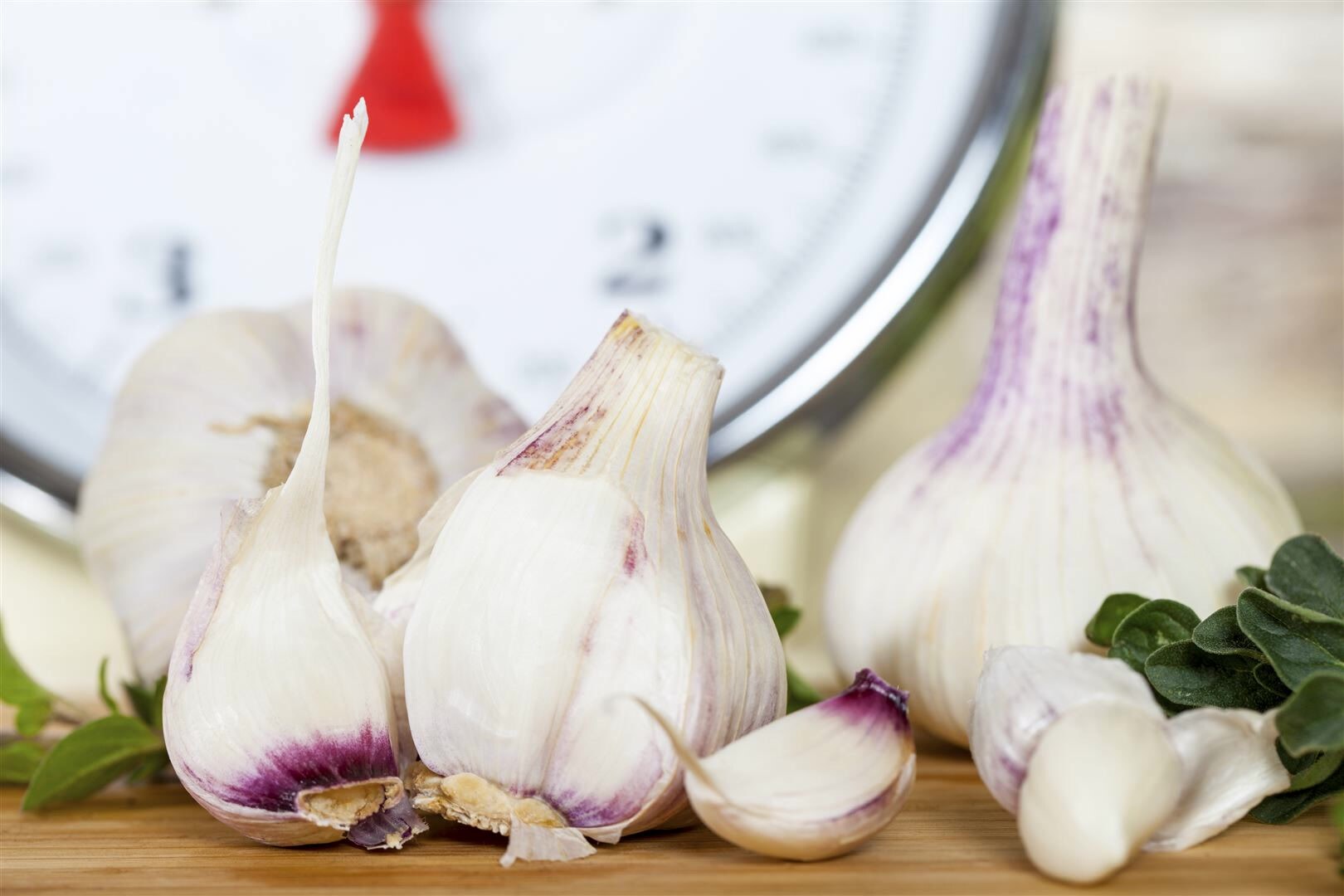 Allium sativum var. sativum, Knoblauch, ca. 9×9 cm Topf | 04063654256014