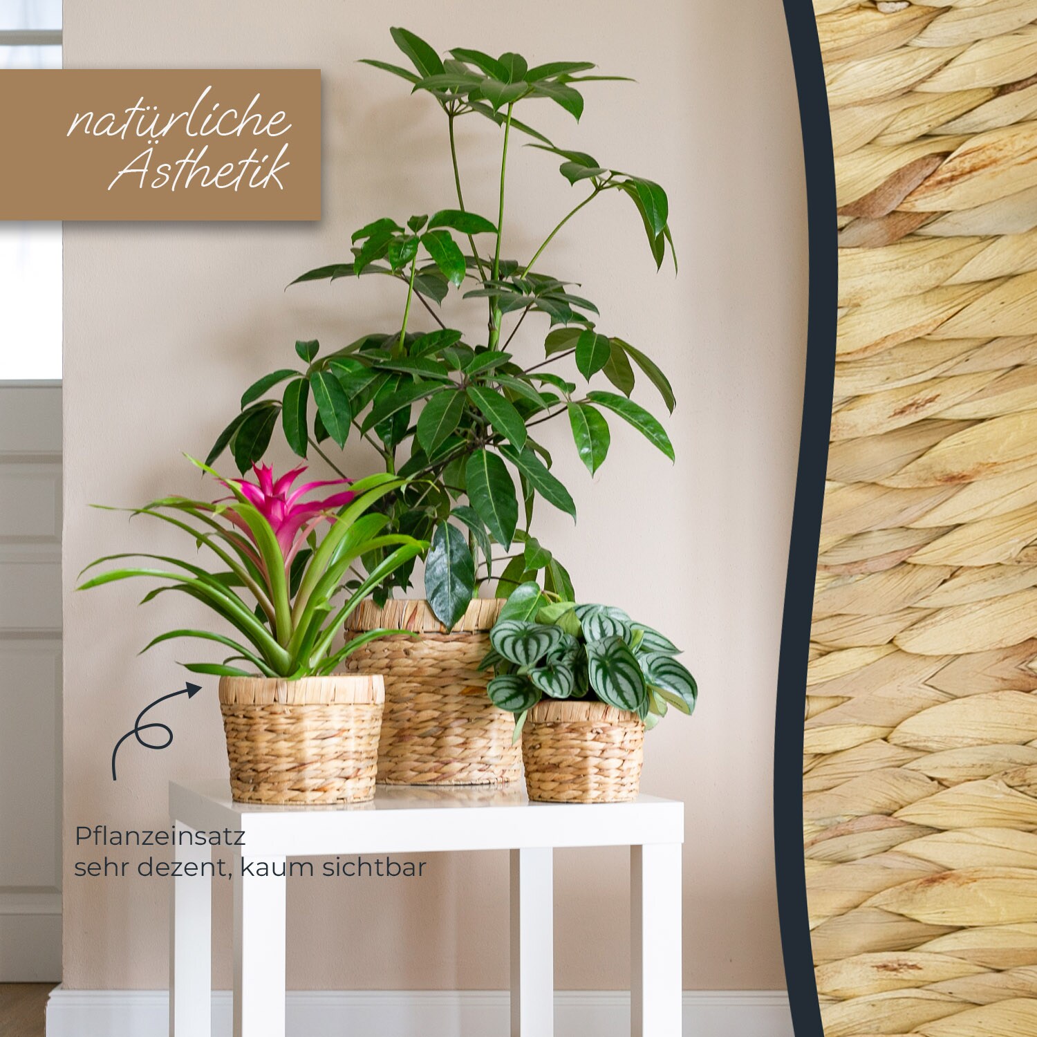 Innovativer Blumentopf aus Wasserhyazinthe, mit Pflanztopf, 14 cm, rund
