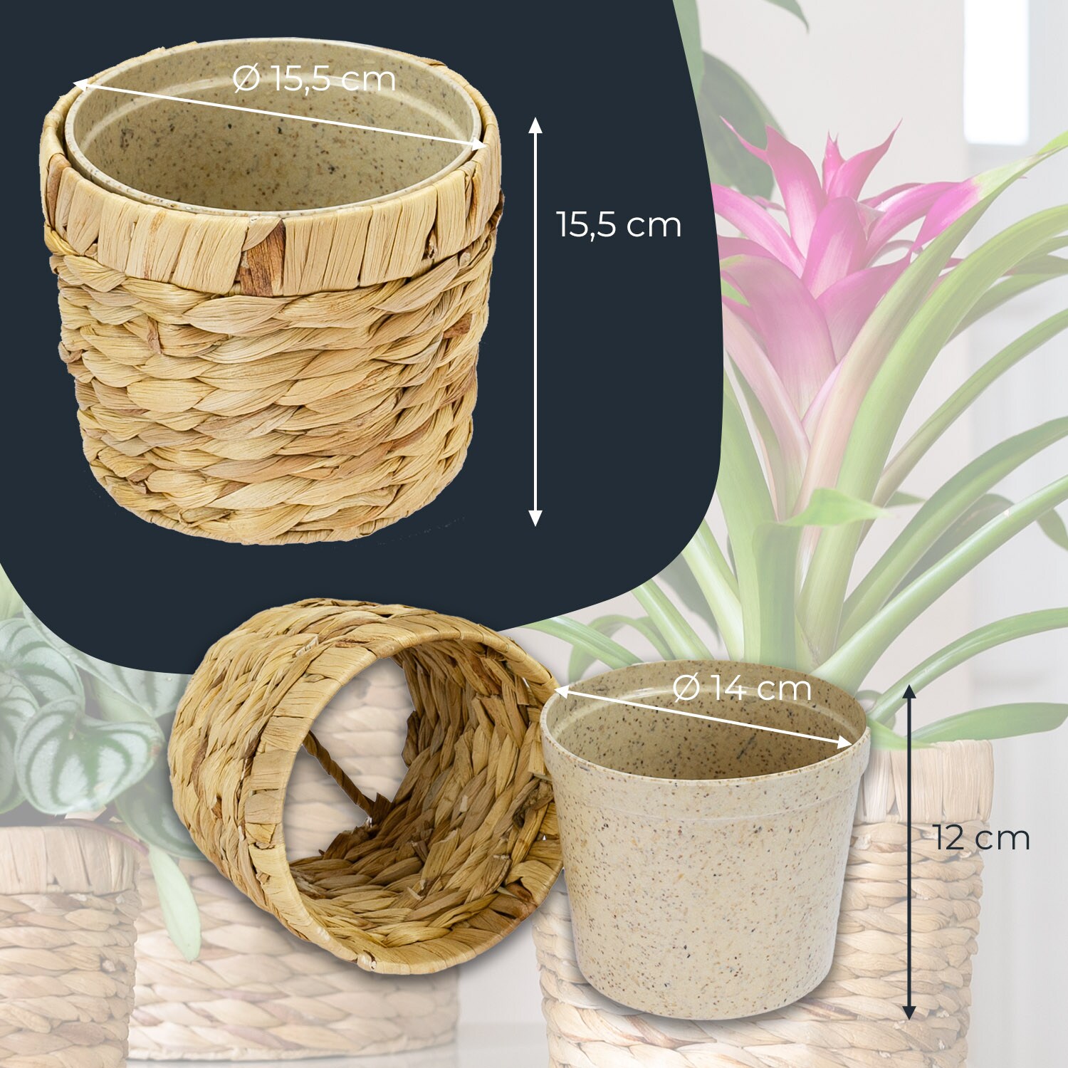 Innovativer Blumentopf aus Wasserhyazinthe, mit Pflanztopf, 14 cm, rund  online kaufen bei Netto