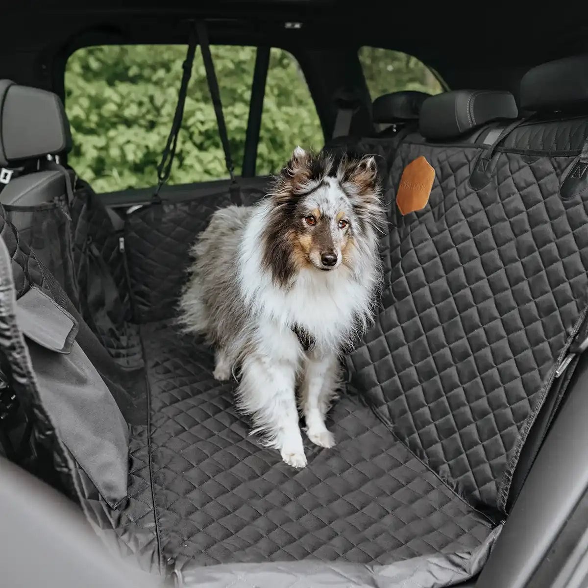Rudelk&ouml;nig Autoschondecke gesteppt in schwarz Hundedecke R&uuml;cksitzschutz Hund Schutzdecke KFZ wasserfest rutschfest - Bild 1