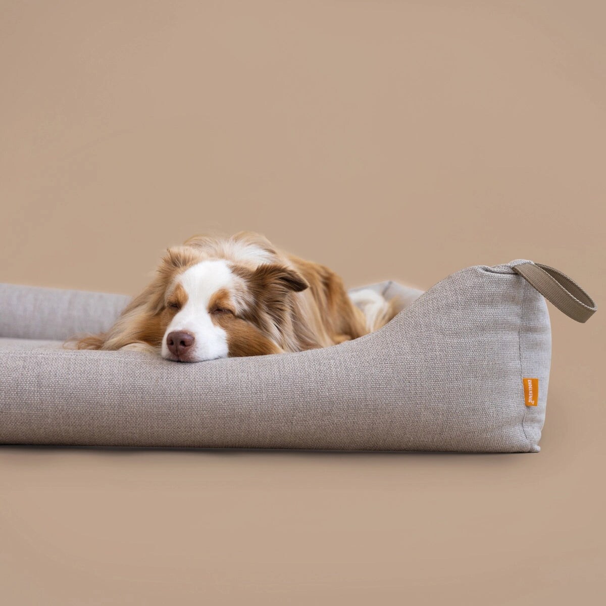 Rudelknig Hundebett Koye waschbar & robust  Orthopdisches Hundebett fr  alle Hunde - Grau in Gre M online kaufen bei Netto