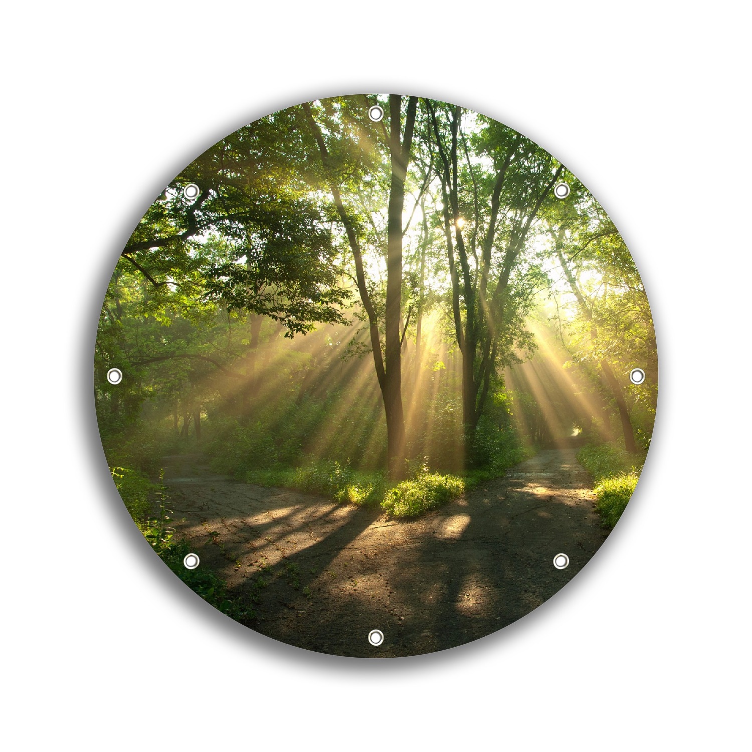 Wallario Gartenposter ca. 60 x 90 cm Weggabelung im Sonnenschein - Bild 1