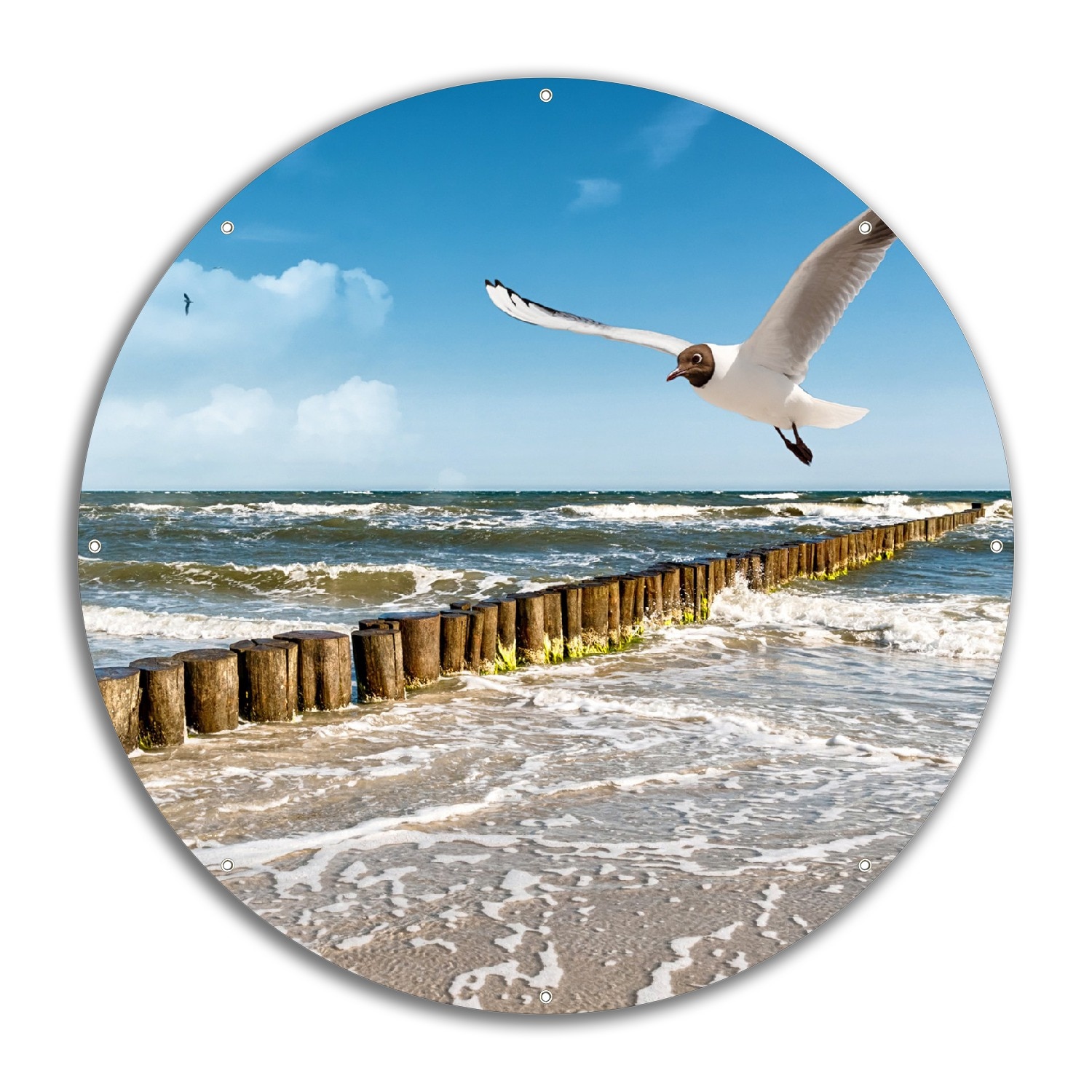 Wallario Gartenposter ca. 60 x 90 cm Fliegende M&ouml;we am Strand - Bild 1