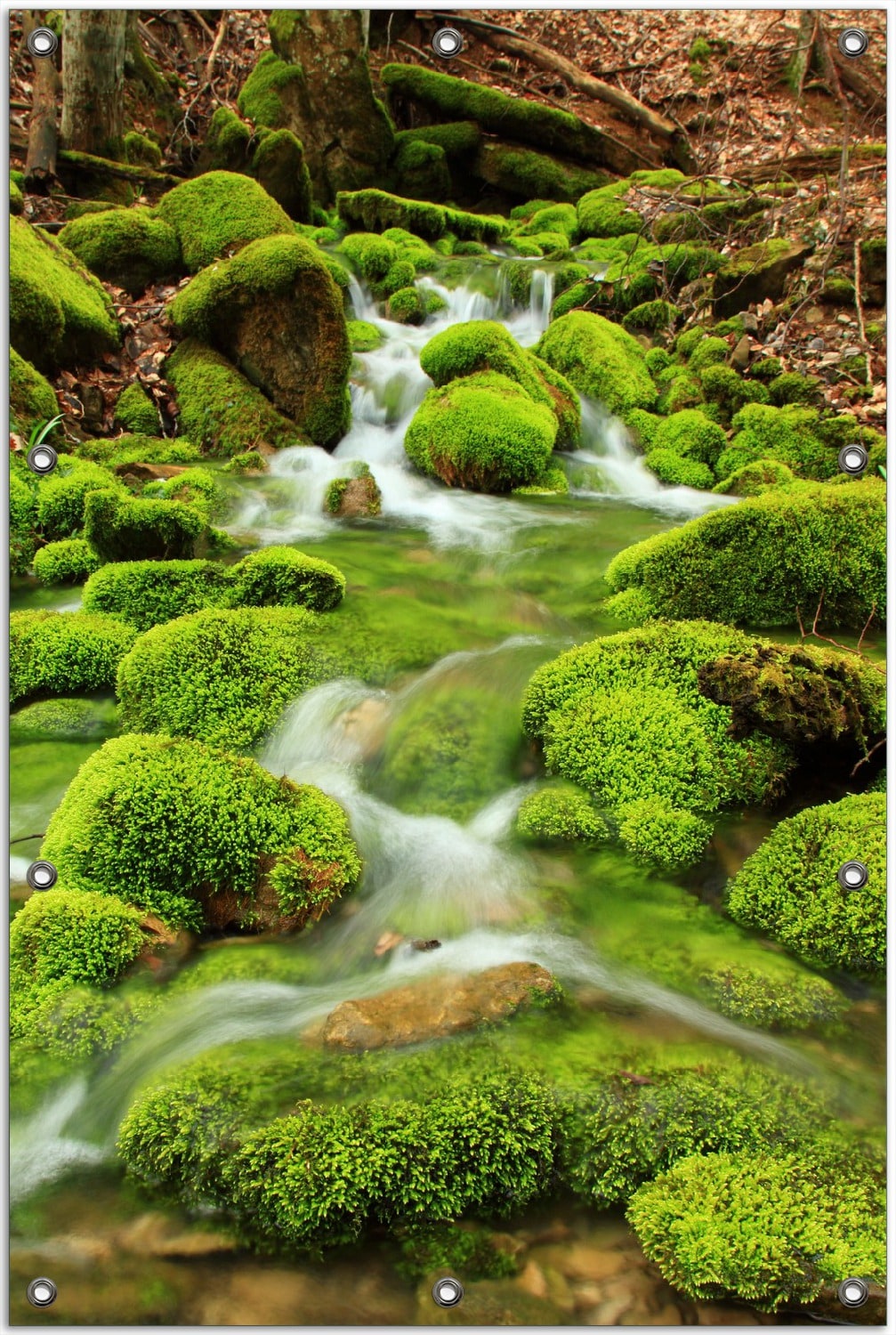 Wallario Gartenposter ca. 60 x 90 cm Moosiger Bach - Bild 1
