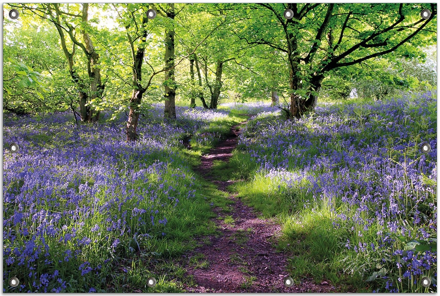 Wallario Gartenposter ca. 80 x 120 cm Blaues Hasengl&ouml;ckchen im Wald - Bild 1