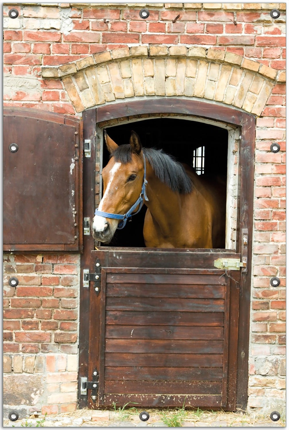Wallario Gartenposter ca. 60 x 90 cm Pferd im Stall - Bild 1