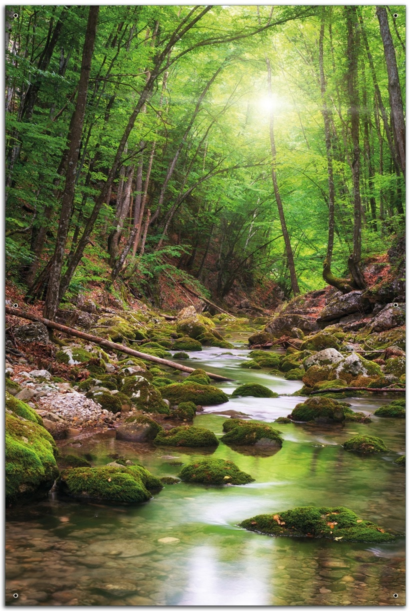 Wallario Gartenposter ca. 60 x 90 cm Fluss im Wald - Bild 1