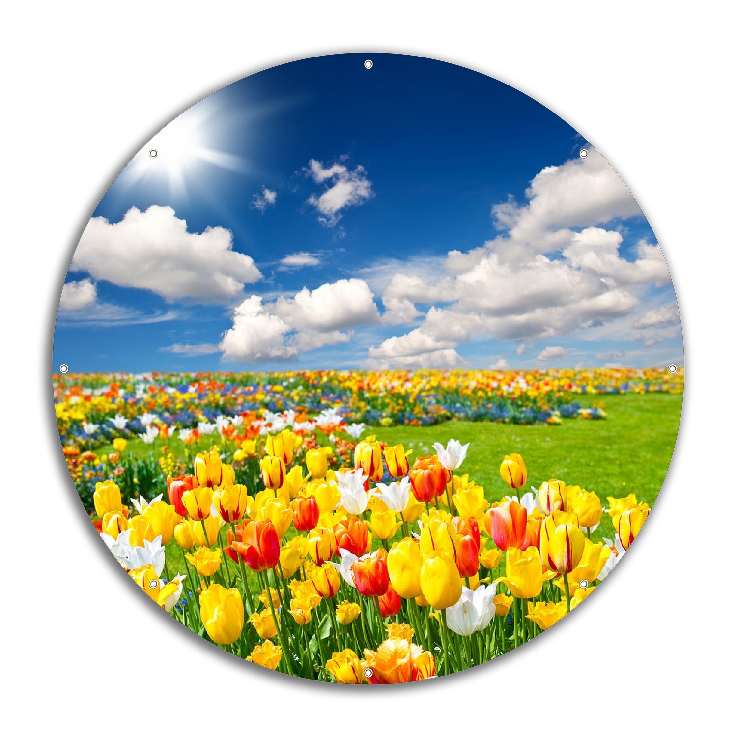 Wallario Gartenposter ca. 60 x 90 cm Tulpenwiese unter blauem Himmel - Bild 1