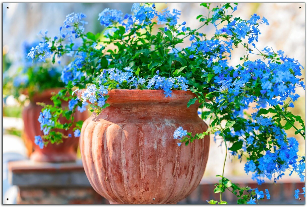 Gartenposter ca. 80 x 120 cm Blaue Blumen in einer Steinvase
