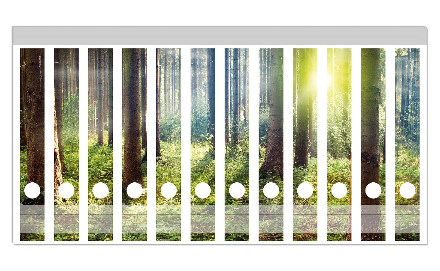 Wallario Ordnerr&uuml;cken Sticker 8 St&uuml;ck Sonnenuntergang im Wald zwischen den B&auml;umen - Bild 1