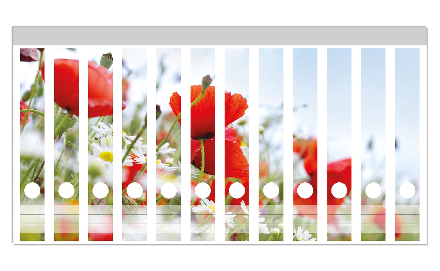 Wallario Ordnerr&uuml;cken Sticker 12 St&uuml;ck Mohnblumen unter blauem Himmel - Bild 1