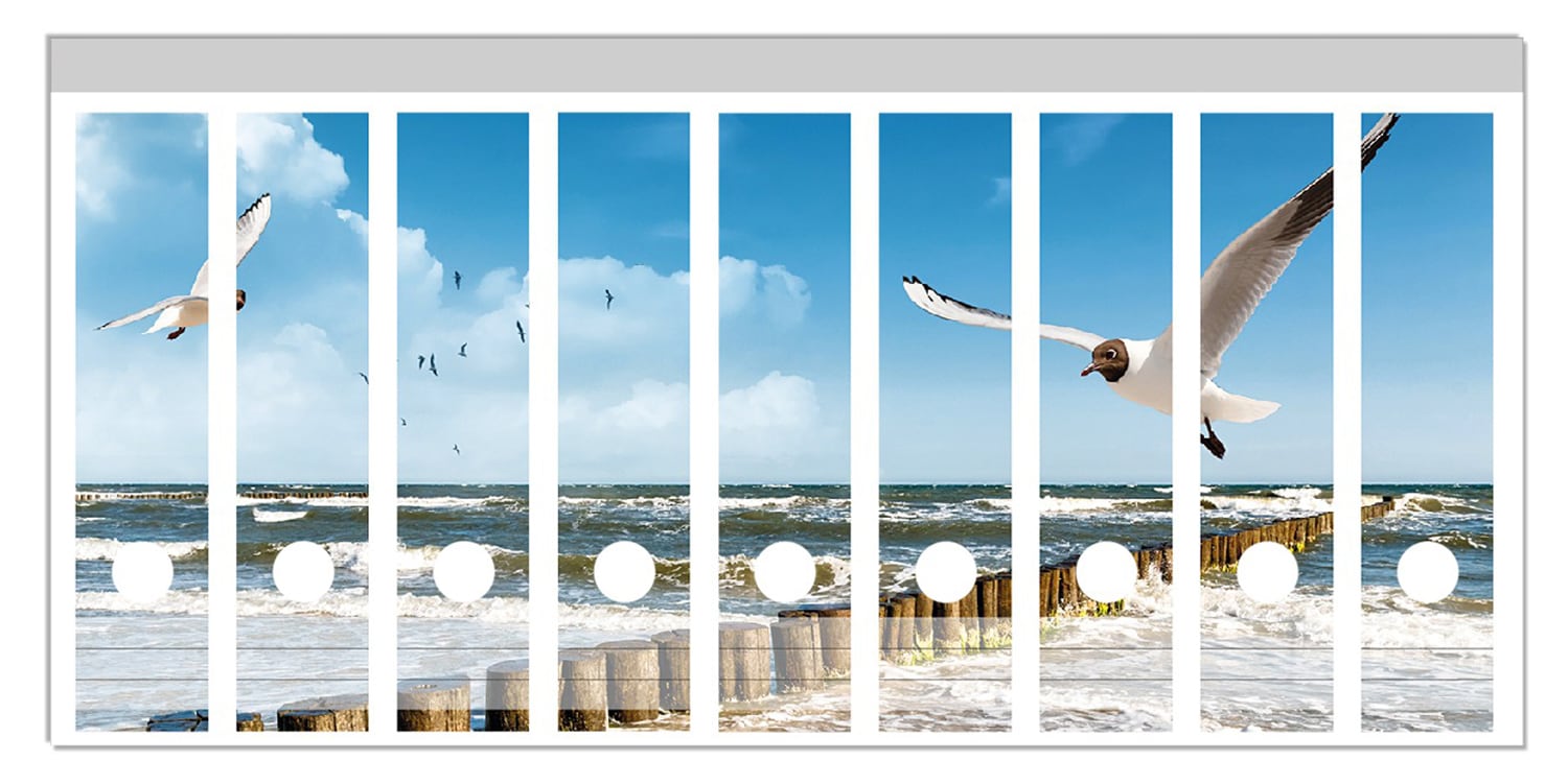 Wallario Ordnerr&uuml;cken Sticker 6 St&uuml;ck Fliegende M&ouml;we am Strand - Bild 1