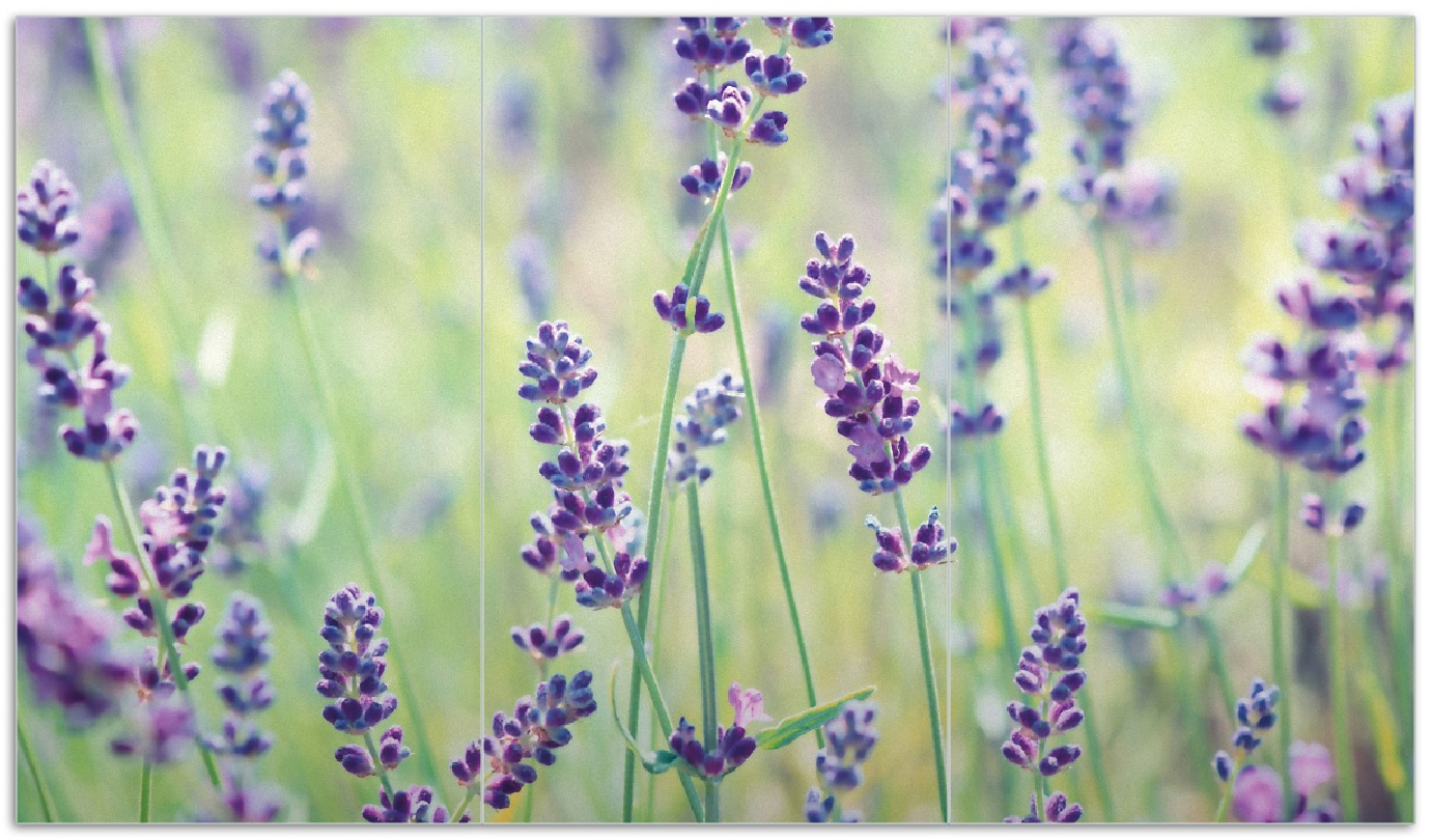 Wallario Herdabdeckplatte 60 x 52 cm (BxH), 1-teilig Lila Blumenfreude - Violette Pflanzen auf der Wiese - Bild 1