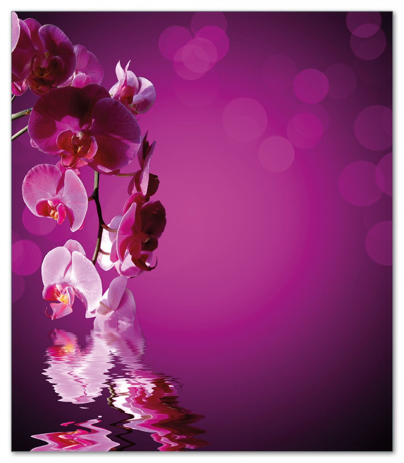 Wallario Herdabdeckplatte 60 x 52 cm (BxH), 2-teilig Rosafarbene Orchidee  Bl&uuml;ten in pink - Bild 1