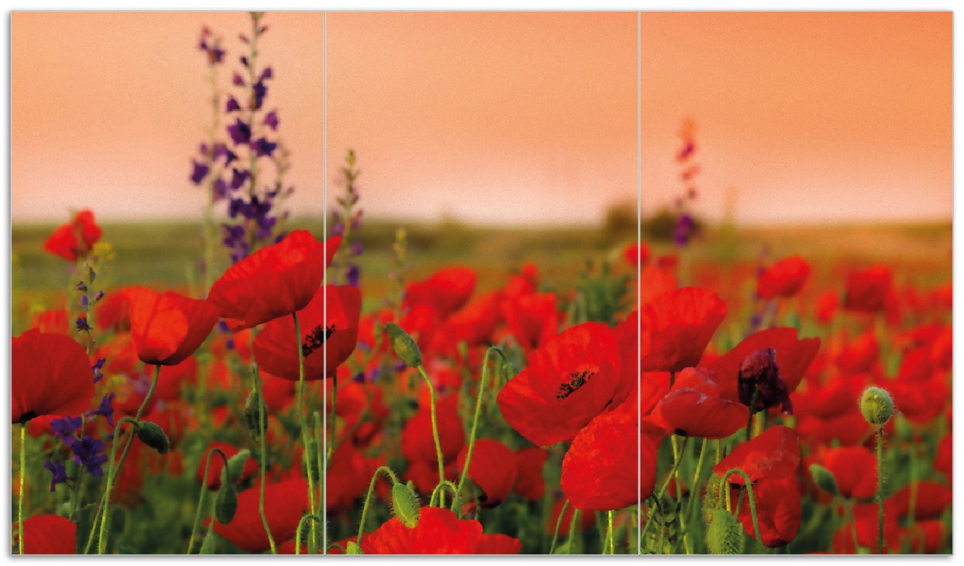Wallario Herdabdeckplatte 60 x 52 cm (BxH), 1-teilig Mohnblumen auf dem Feld - Bild 1