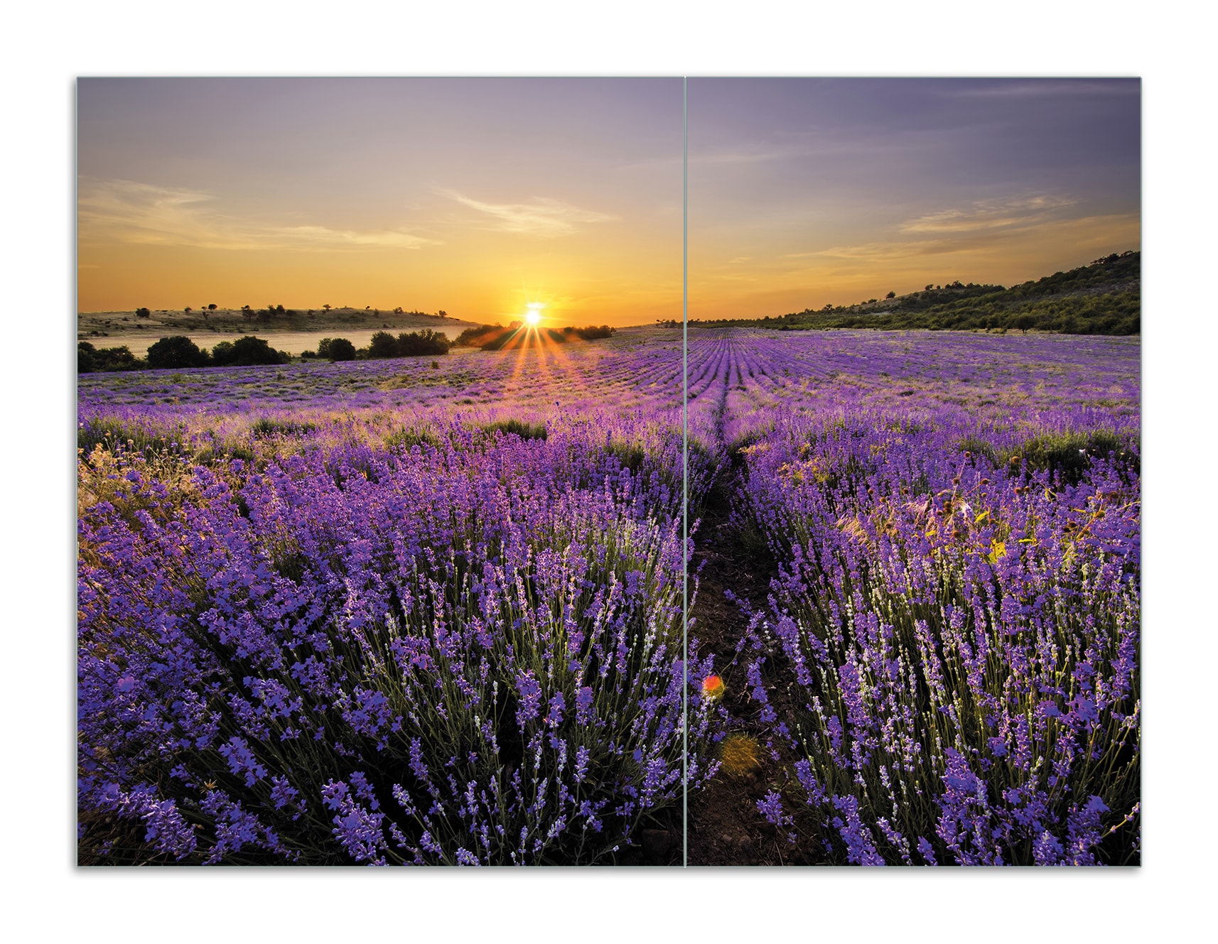Wallario Herdabdeckplatte 60 x 52 cm (BxH), 1-teilig Sonnenuntergang &uuml;ber dem Lavendel - Bild 1