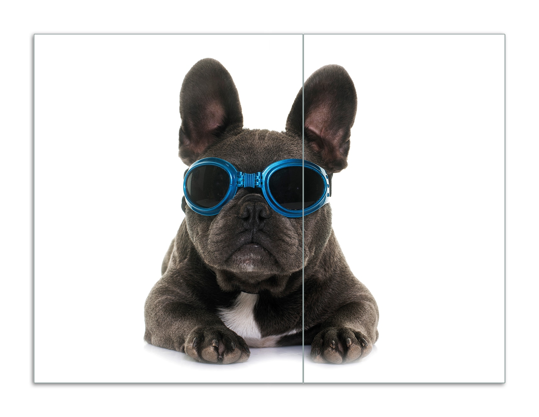 Wallario Herdabdeckplatte 60 x 52 cm (BxH), 1-teilig Cooler Hund mit Sonnenbrille in blau - Franz&ouml;sische Bulldogge - Bild 1