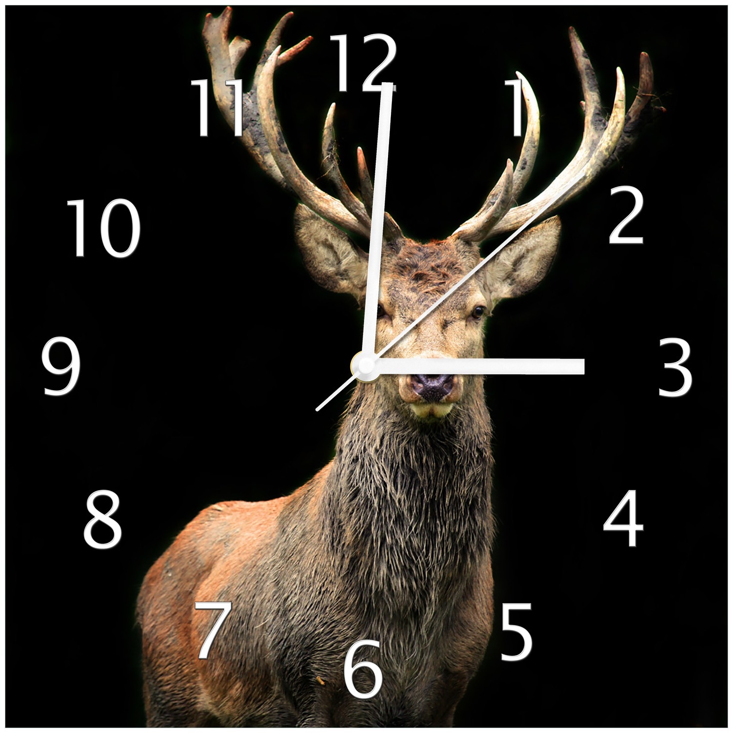 Wallario Uhr 30 x 30 cm, wei&szlig;e Zeiger Stattlicher Rothirsch - Bild 1