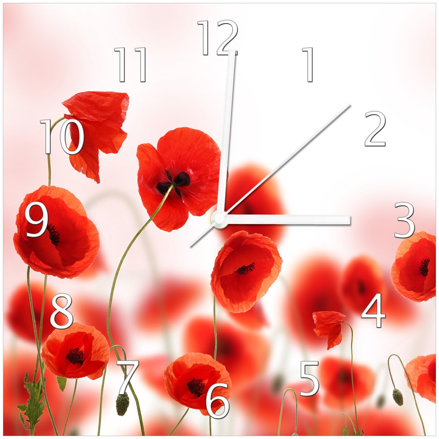 Wallario Uhr 30 x 30 cm, schwarze Zeiger Leuchtende Mohnblumen - Rote Mohnblumenbl&uuml;ten - Bild 1