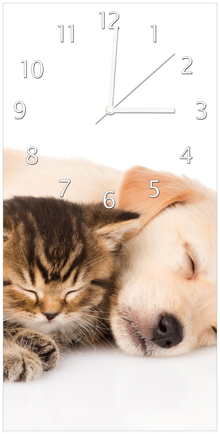 Wallario Uhr 30 x 30 cm, schwarze Zeiger Katze und Hund in Harmonie - Kuschelnde Tiere - Bild 1