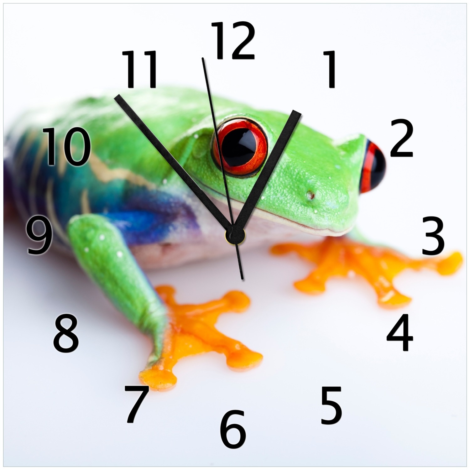 Wallario Uhr 30 x 30 cm, schwarze Zeiger Lustiger Frosch in gr&uuml;n und orange - Bild 1