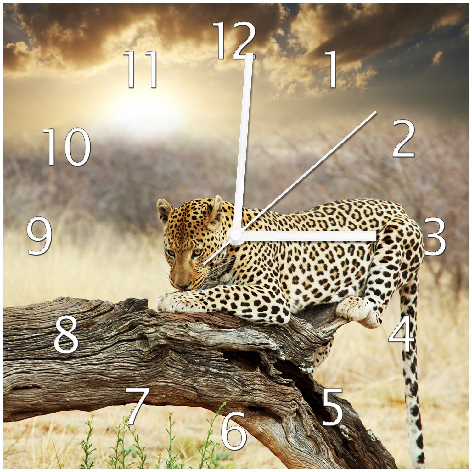 Wallario Uhr 30 x 60 cm, schwarze Zeiger Leopard auf Baumstamm in Afrika - Bild 1
