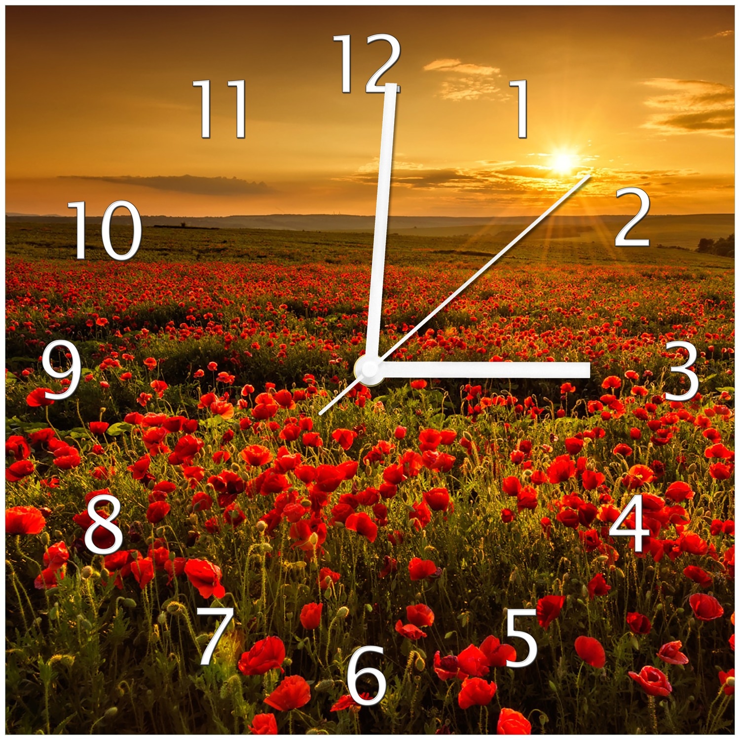 Wallario Uhr 30 x 60 cm, wei&szlig;e Zeiger Mohnblumenwiese bei Sonnenuntergang am Abend - Bild 1