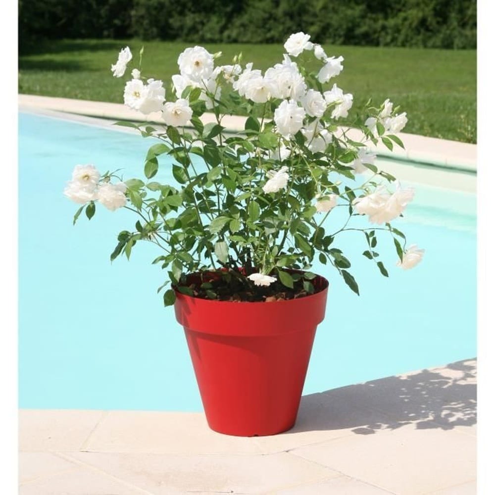 RIVIERA Riviera Blumentopf - rund - &Oslash; 49 x 44,8 cm - rot 
