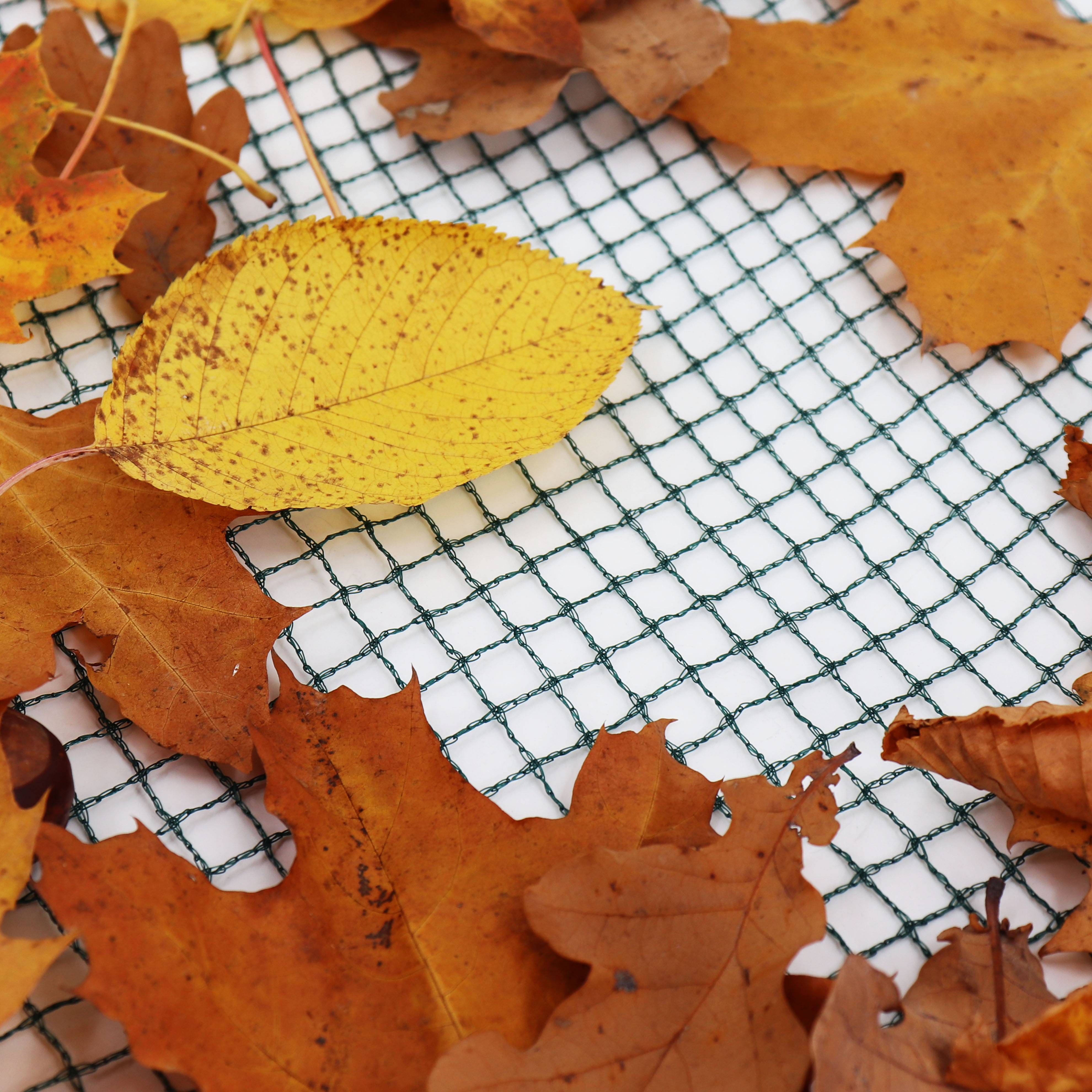 Aquagart Teichnetz 26m x 10m Laubnetz Abdecknetz Silonetz robust - Bild 1